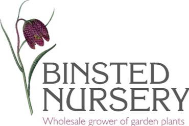Binsted Nursery logo