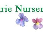 Fleurie Nursery Ltd